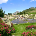 OFFICE DE TOURISME DE FONT-ROMEU