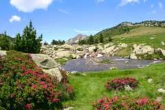 OFFICE DE TOURISME