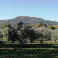 DOMAINE DE LA FANETTE