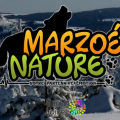 MARZOE NATURE