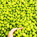 LES SAVEURS DE PAPOU