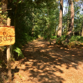 TINY STAY ECOLODGE