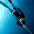 EXTREME BLUE WATER FREEDIVING