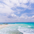 BUDGET SAFARI ZANZIBAR