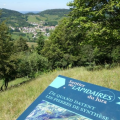 SENTIERS LES DIOTS-LES LAPIDAIRES-LES CHAMOIS