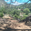 RURAL TOURS