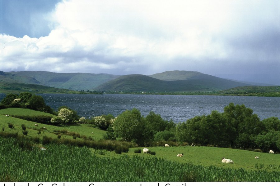 CONNEMARA NATIONAL PARK