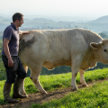 LA FERME DU VIVIER