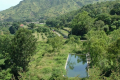 KID TREKKING TOURS