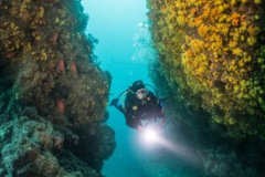 DIVE CENTER SANTIAGO