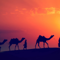 WADI RUM VOYAGE