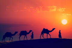 WADI RUM VOYAGE