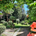 LA MAZURKA