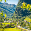 TRAIN DE FLÅM