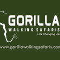 GORILLA WALKING SAFARI