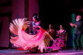 TABLAO FLAMENCO EL PALACIO ANDALUZ