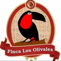 FINCA LOS OLIVALES