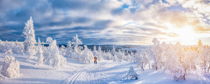NORDIC.BE