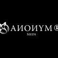 CBD NÎMES - ANONYM SEEDS