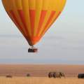 BALLOON SAFARIS LTD