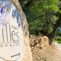 DOMAINE DES TROIS FILLES