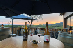 LES GRANDS VINS DU TERROIR