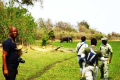 MOONSTROLL SAFARIS