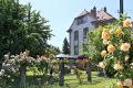 LE JARDIN DES ROSES