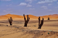 NUMIDIAN MOROCCO TOURS