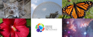 <p>NATURE ET DÉCOUVERTES À MONTRÉAL