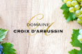 DOMAINE CROIX D'ARBUSSIN