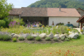MAISON D'HOTES LES COQUELICOTS