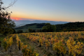 DOMAINE ROSTAING-TAYARD