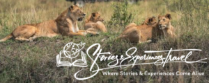 STORIES AND EXPERIENCES TRAVEL