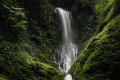 NYUNGWE NATIONAL PARK