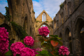 ABBAYE DE BEAUPORT