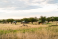 HARMONY SAFARI CAMPS