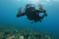 SCUBAZORES DIVERS
