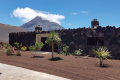 OASIS COBA TINA
