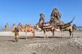 MASSIGO TRAVEL DJIBOUTI