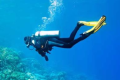 WEST COAST DIVER