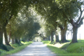 LATOUR DES MARCHE