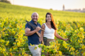 DOMAINE VINCENT LEDY