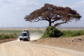 AMEERA AFRICA SAFARIS