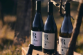 DOMAINE DES RUTISSONS