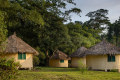 TAI FOREST LODGES