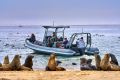 DIVINE & WILD EXPEDITIONS