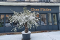 CHEZ FLADER