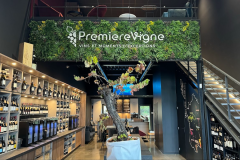 PREMIERE VIGNE