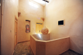 ARAB SPA